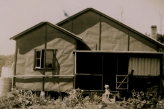 Tin and Tarpaper House