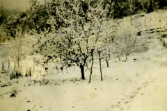 Snow at Hunter Springs